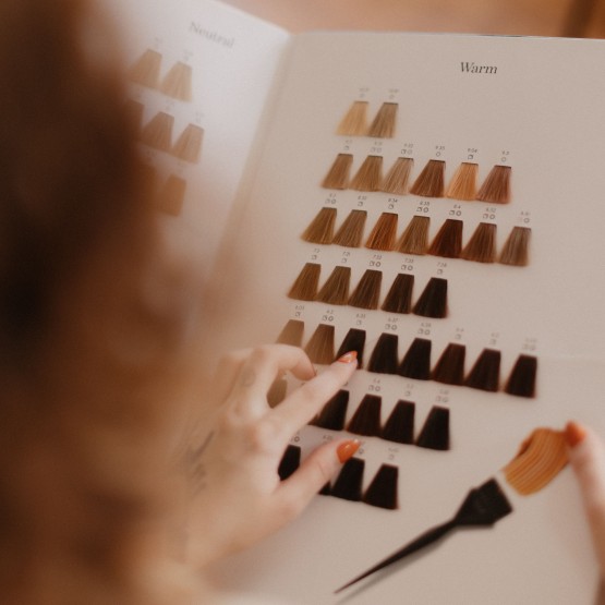 Image formation COLOR MASTER