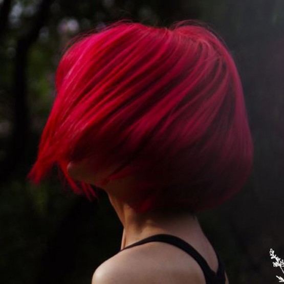 Image formation LA COLORATION VEGETALE