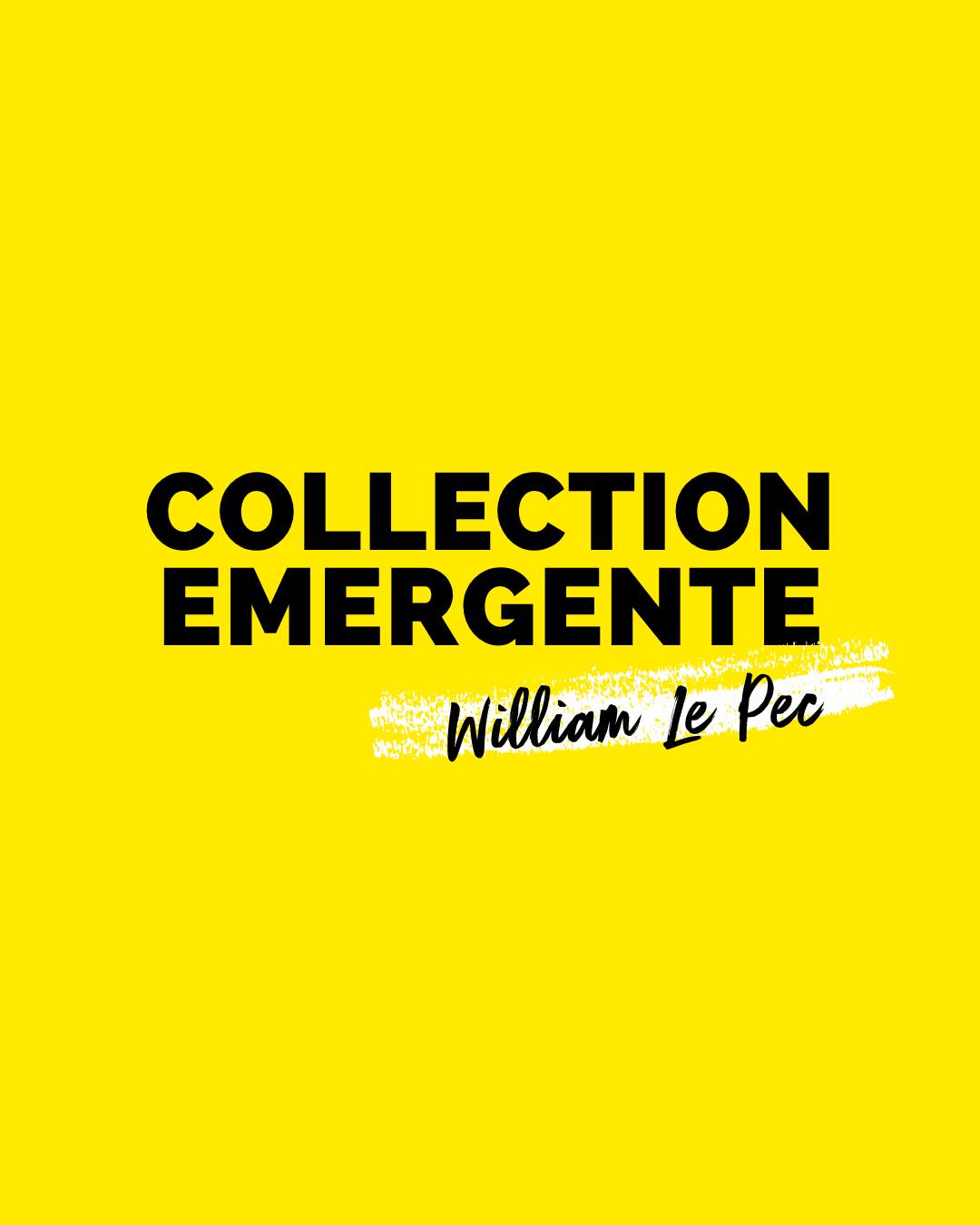 Plongez au cœur des nouvelles tendances émergentes aux côtés de William Lepec et découvrez comment les décrypt…